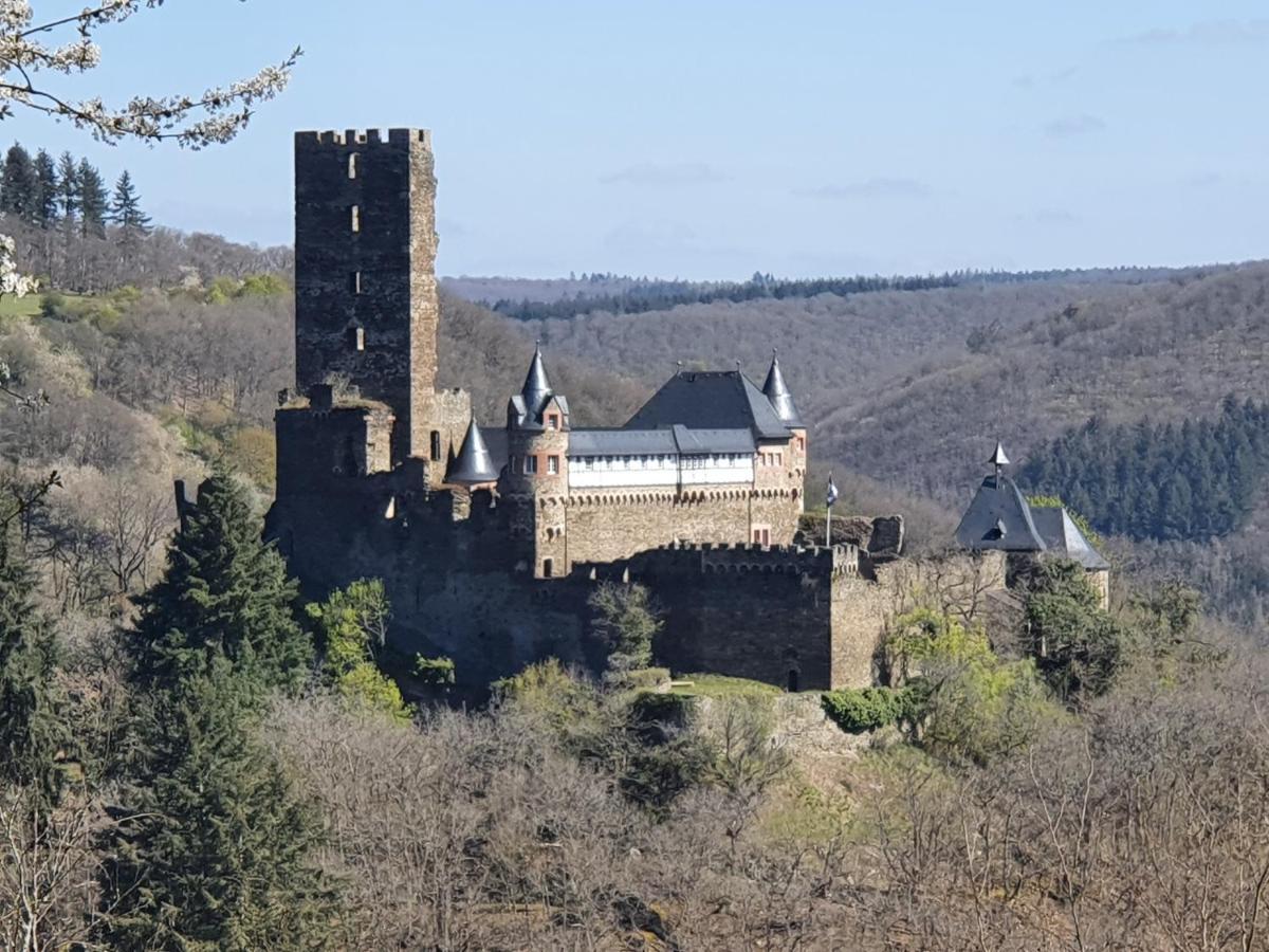 Am Burggraben Auf Der Sauerburg Apartamento Sauerthal Exterior foto